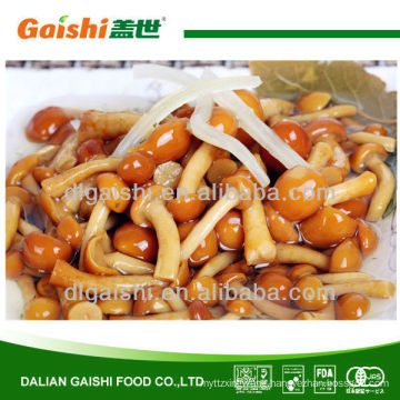 314ml/550ml/580ml canned nameko mushroom in brine in tin